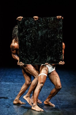 Nuisis Zobop